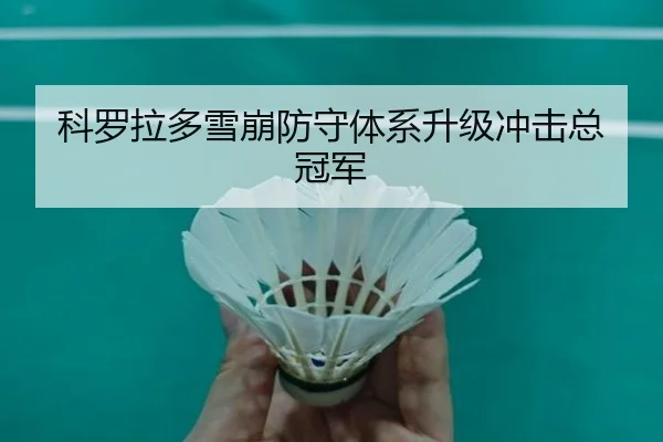 科罗拉多雪崩防守体系升级冲击总冠军